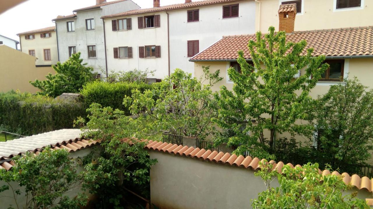 Apartment Zlatko
